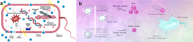 Harnessing the potential of graphene quantum dots in emerging ...