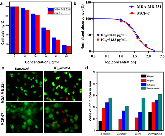 Harnessing the potential of graphene quantum dots in emerging ...