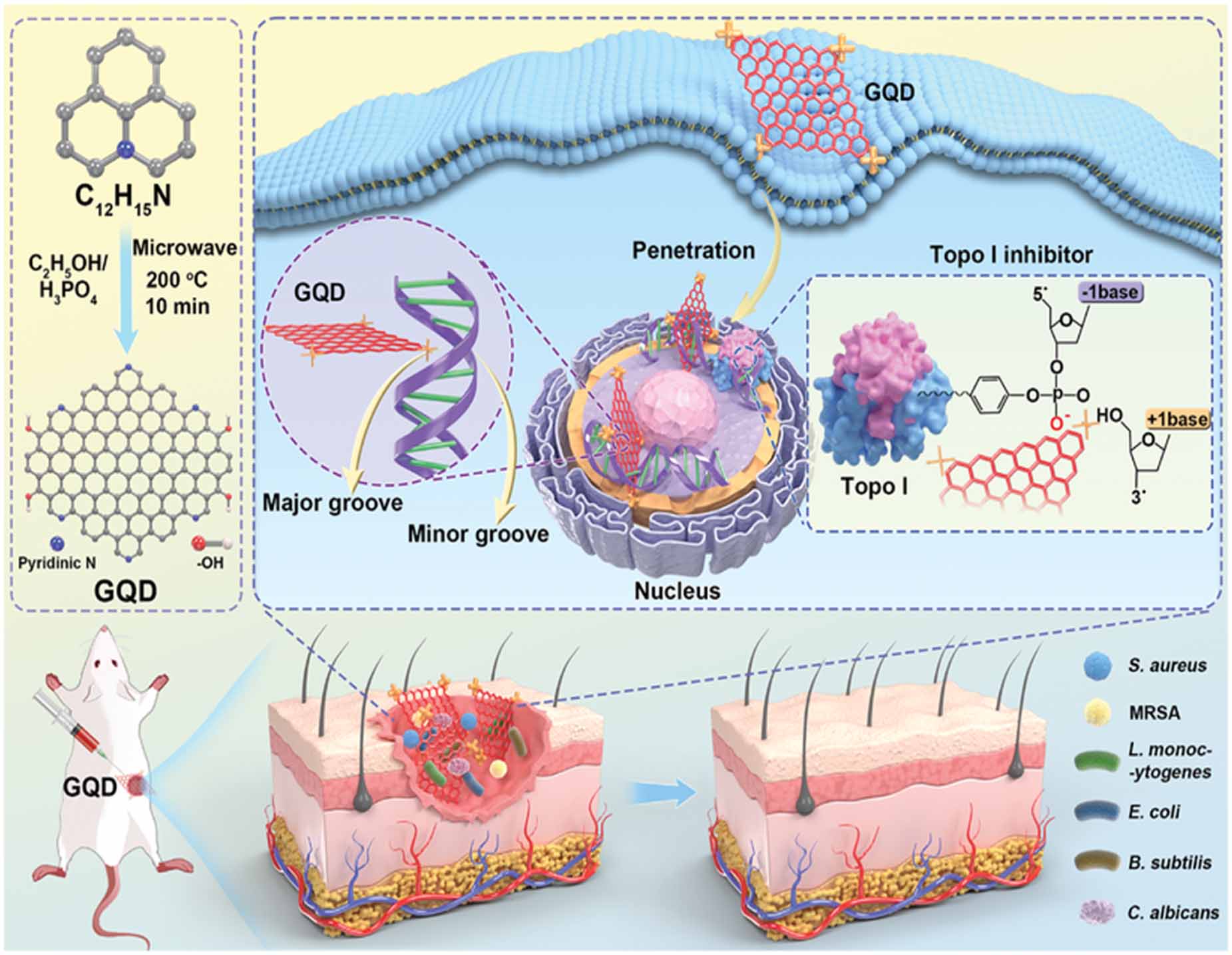 Harnessing the potential of graphene quantum dots in emerging ...