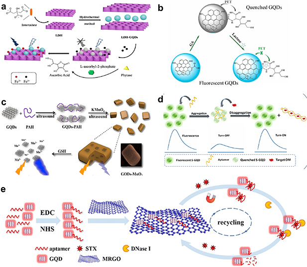 Harnessing the potential of graphene quantum dots in emerging ...