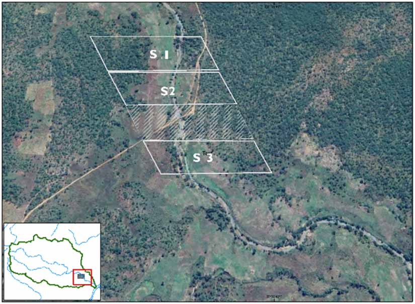 Assessment of conservation status of riparian vascular plant species in ...
