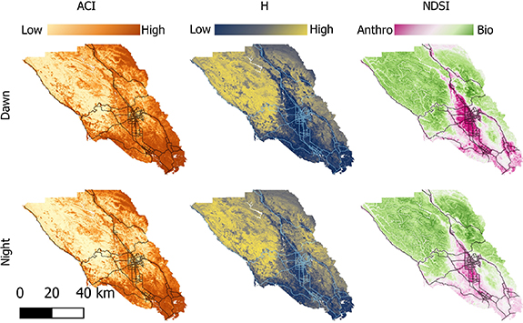 Soundscaping Map Soundscape mapping: understanding regional spatial and temporal ...