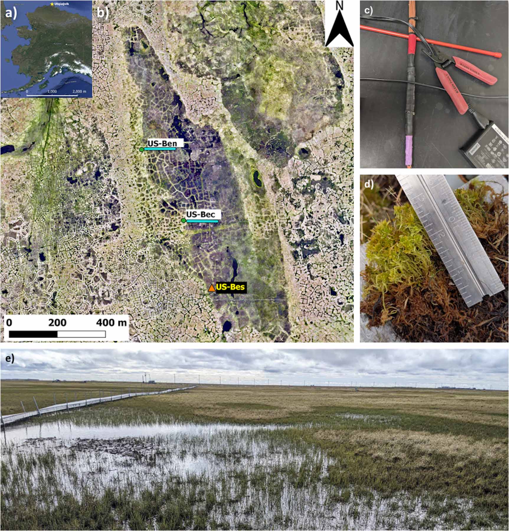 Influences of the moss layer and environmental drivers on the active ...