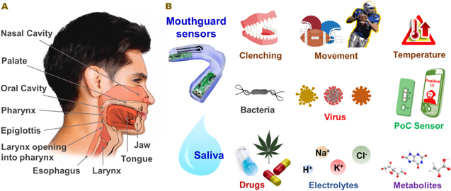 Review—Lab-in-a-Mouth and Advanced Point-of-Care Sensing Systems ...