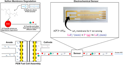 ECS Sensors Plus, Volume 1, Number 3, September 2022, September 2022 ...