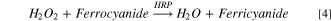 Equation (4)