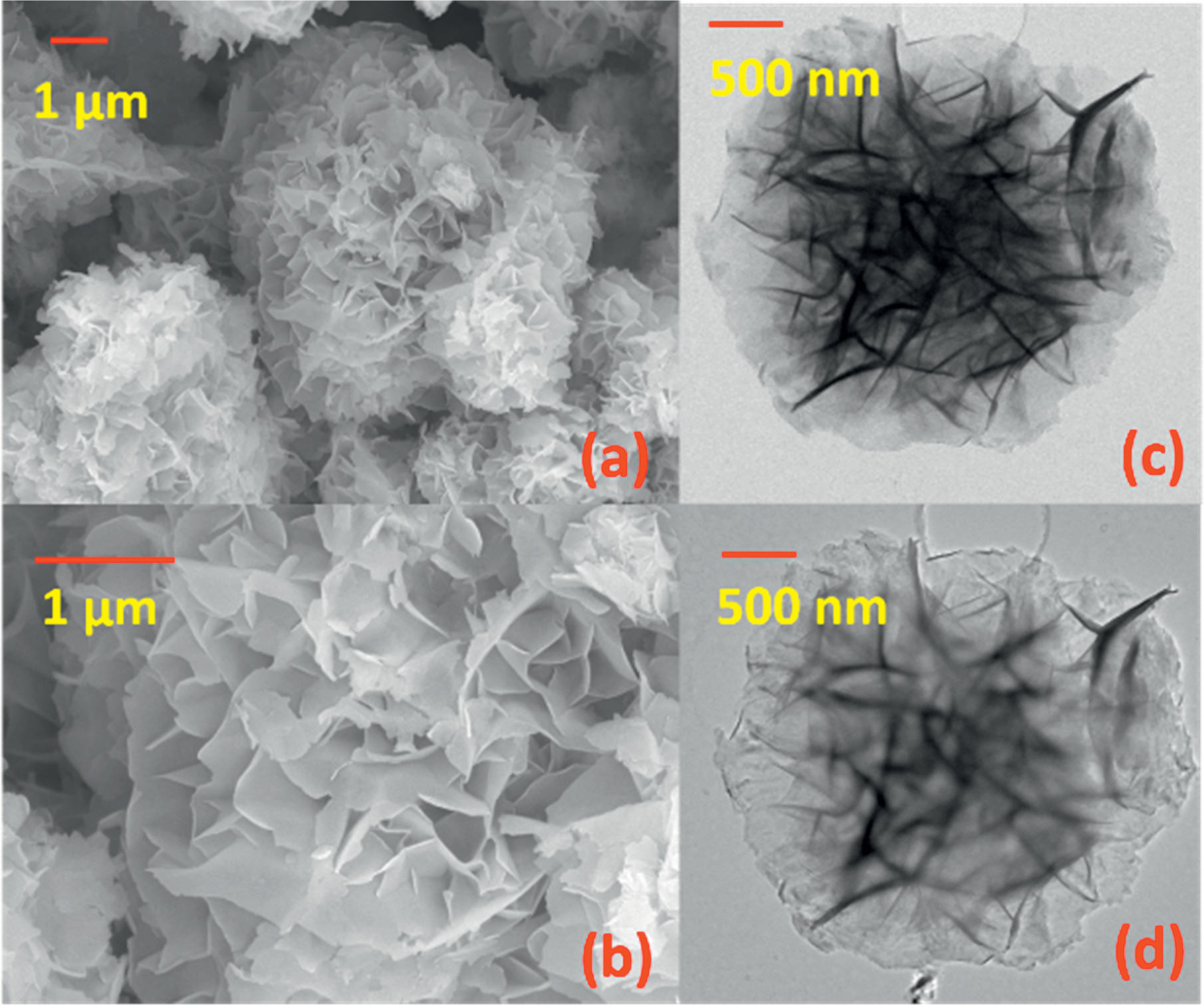 Simultaneous Detection of CO and NO2 Gases using Interaction Analysis ...