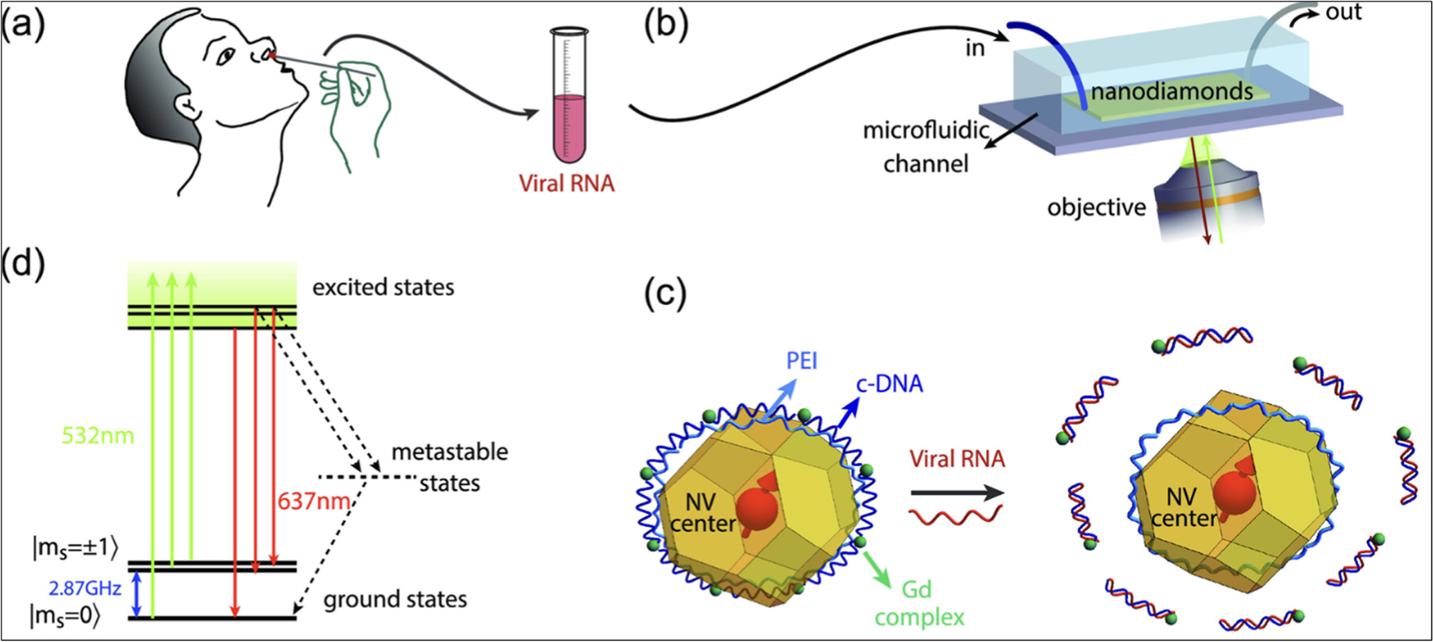 Review—Quantum Biosensors: Principles and Applications in Medical Diagnostics Graphical Abstract