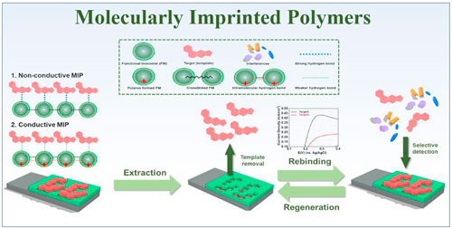 Advances and Challenges in Molecularly Imprinted Conducting and Non ...
