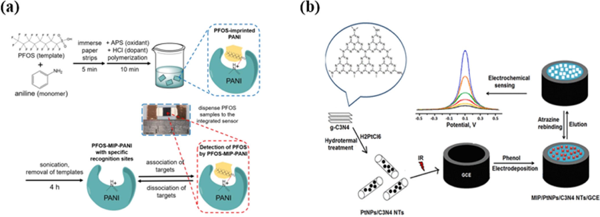 Absolute Mip Sensor Advances and Challenges in Molecularly Imprinted Conducting and Non ...