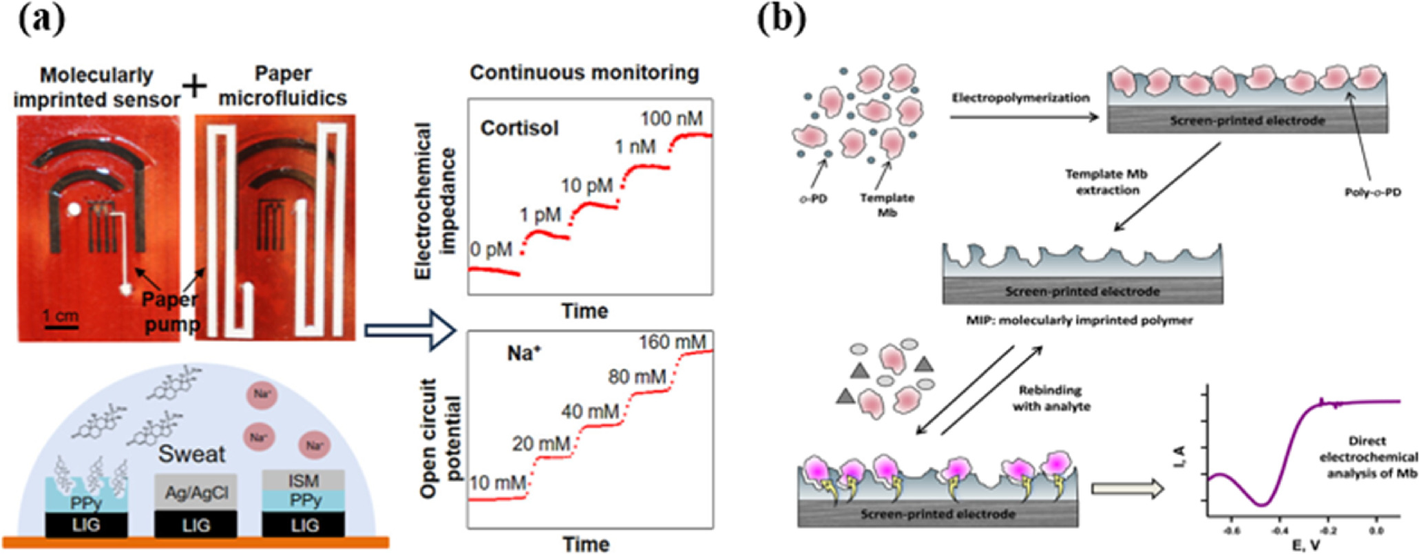 Advances and Challenges in Molecularly Imprinted Conducting and Non ...