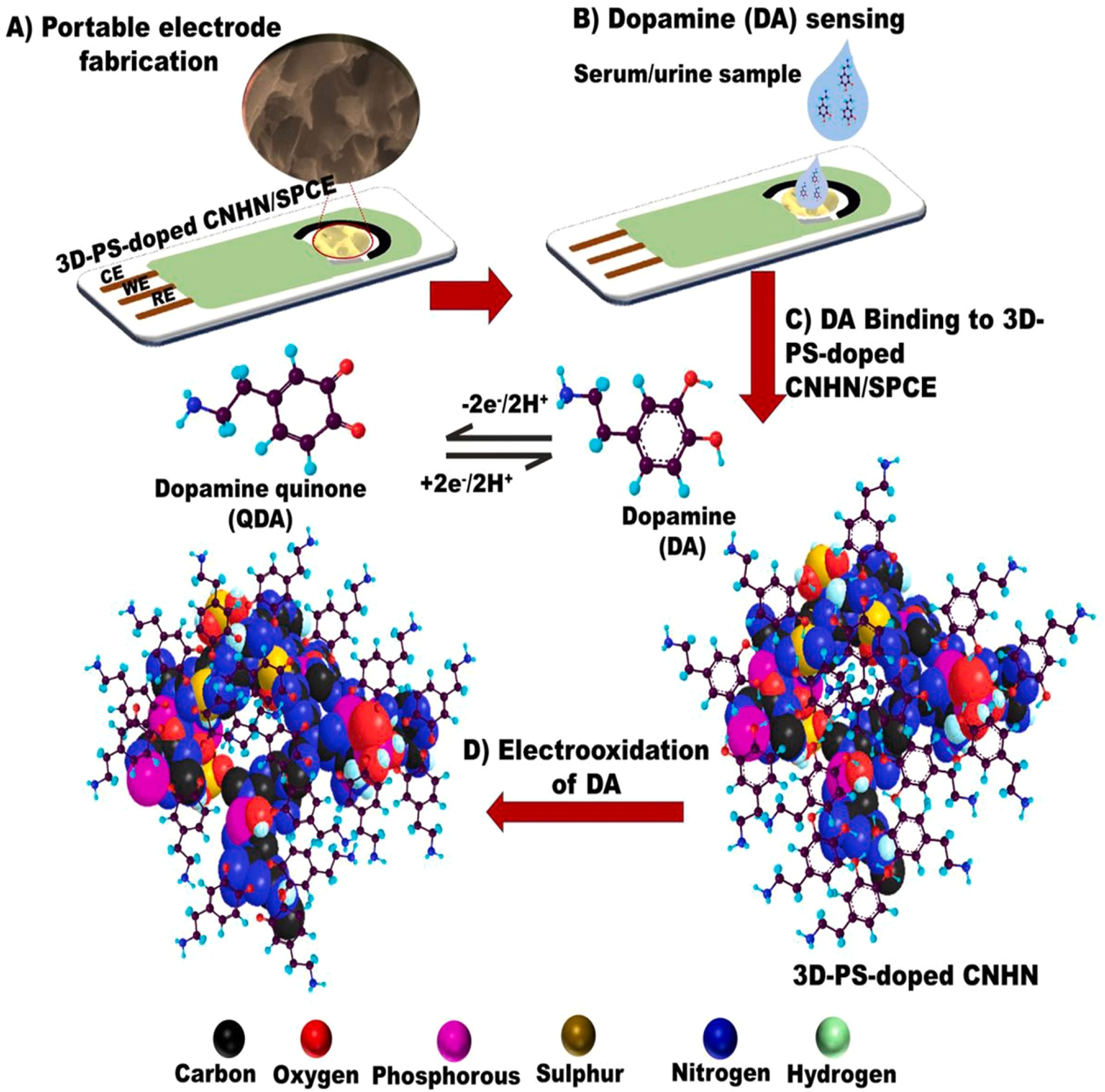 Historical Evolution of Electrodes and Their Impact on Electrochemical ...