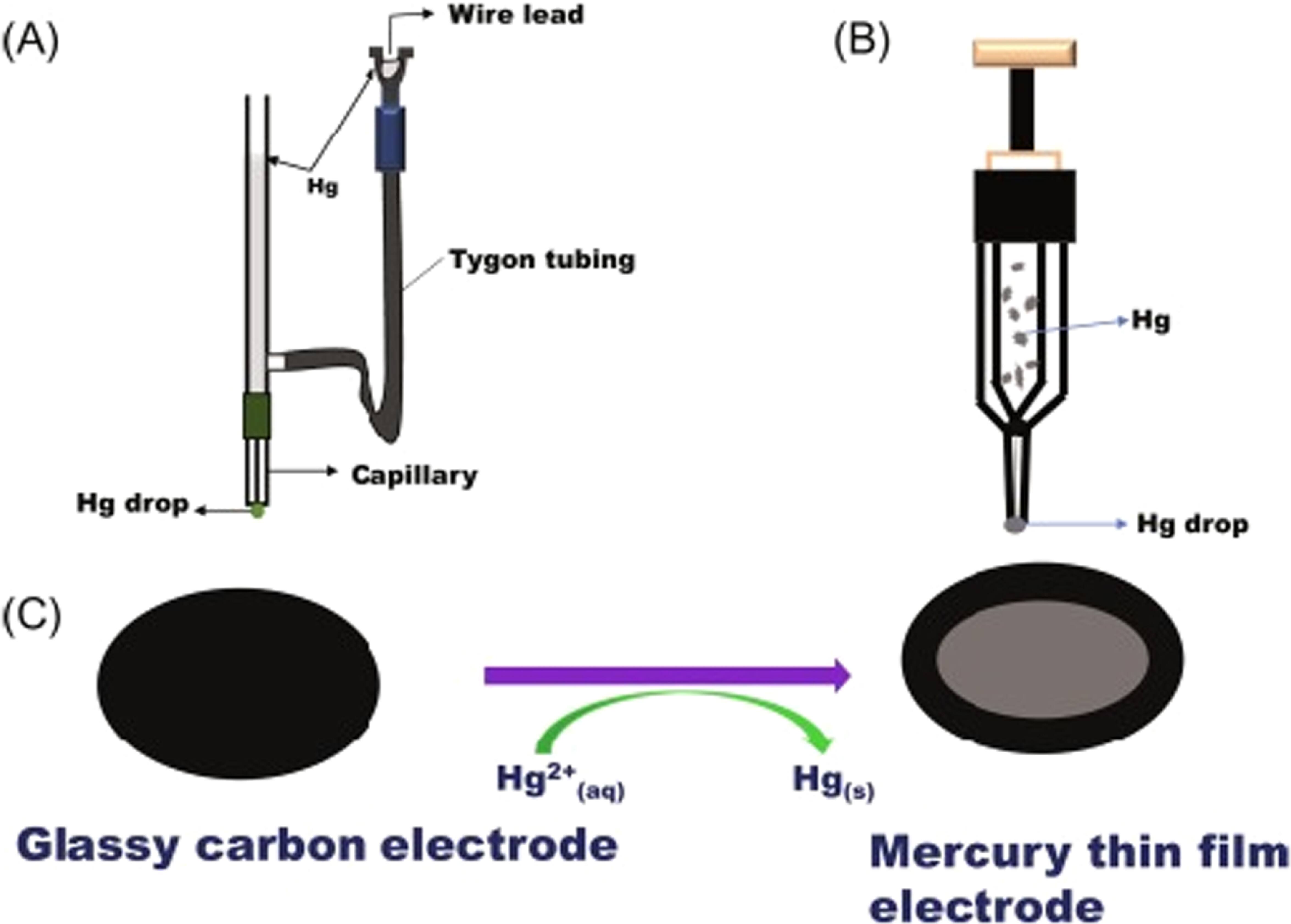 Historical Evolution of Electrodes and Their Impact on Electrochemical ...