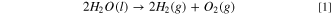 Equation (1)