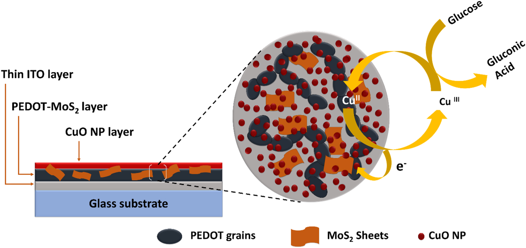 Deciphering Highly Sensitive Non-Enzymatic Glucose Sensor Based on ...