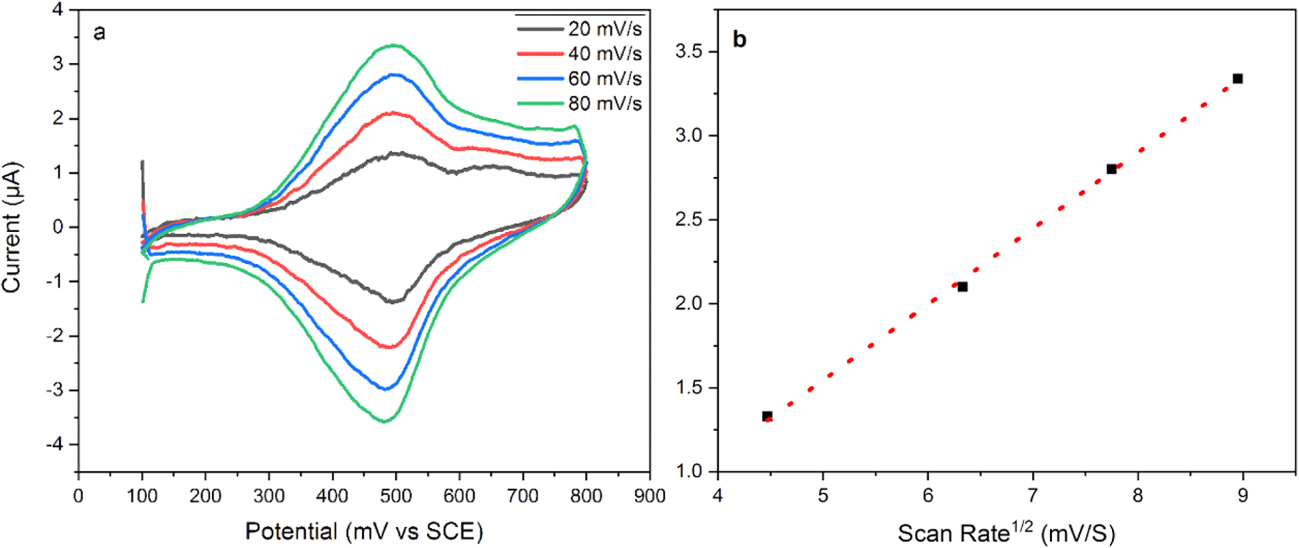 A Novel Pentachlorophenol Electrochemical Sensor Based on Nickel-Cobalt ...