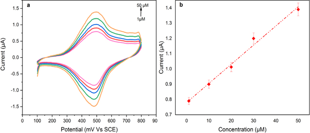 A Novel Pentachlorophenol Electrochemical Sensor Based on Nickel-Cobalt ...