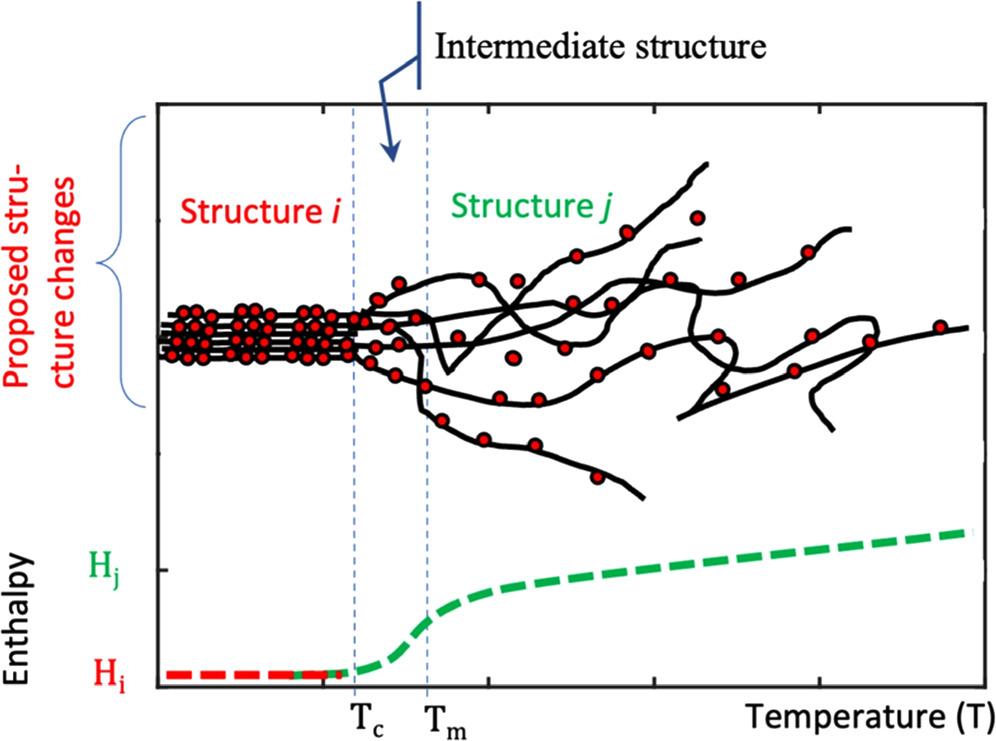 Investigating the Physical State of Polymer Electrolyte: Influence of ...