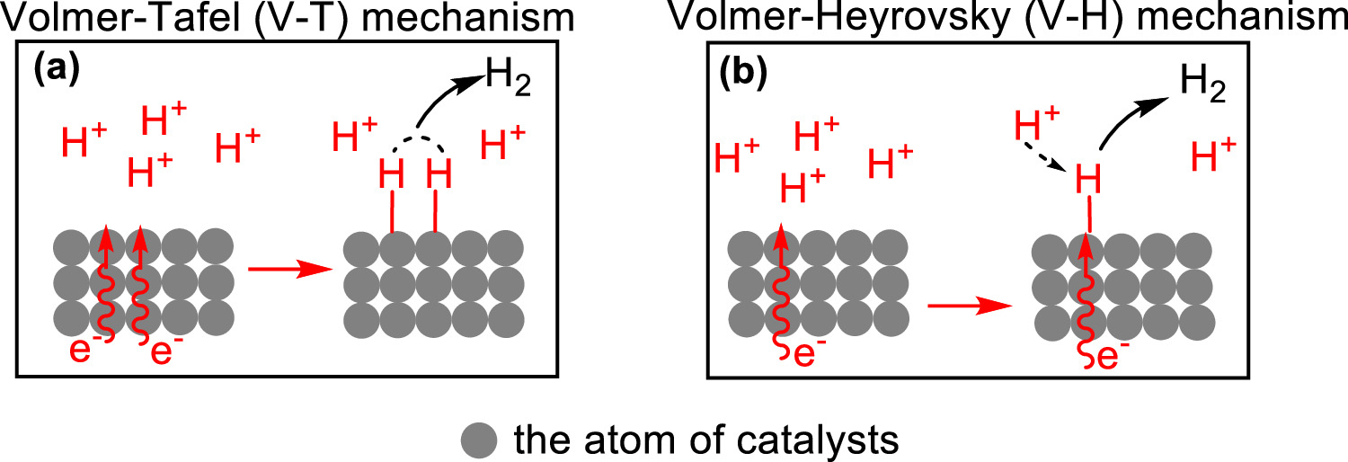 Perspective—A New Viewpoint on the Mechanism of the Hydrogen Evolution ...