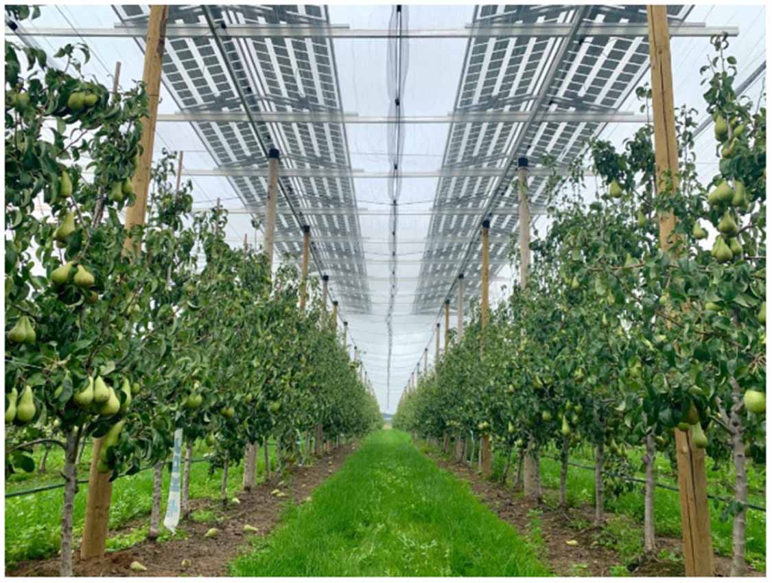 Drivers of agrivoltaic perception in California and North Carolina ...