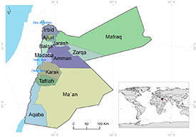 Figure 2. Refer to the following caption and surrounding text.