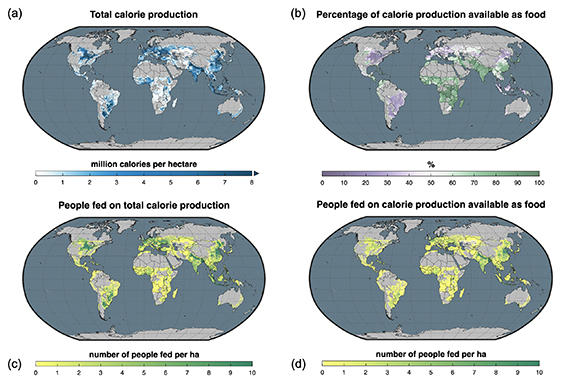 Figure 3. Refer to the following caption and surrounding text.