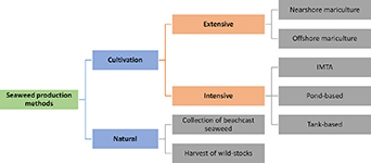 Life cycle assessment of seaweed cultivation and harvesting in Europe ...