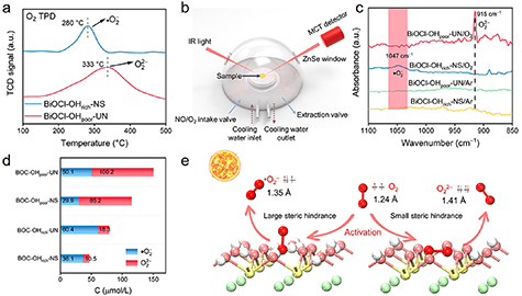 Surface hydroxyl manipulation of BiOCl nanosheets for promoted O2 ...