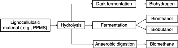 Figure 3. Refer to the following caption and surrounding text.