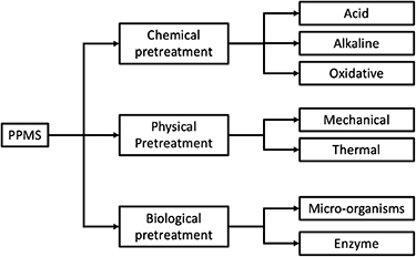 Figure 5. Refer to the following caption and surrounding text.