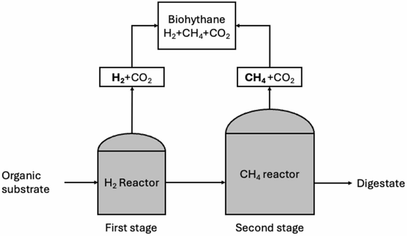 Opportunities and challenges in valorizing pulp and paper sludge for ...
