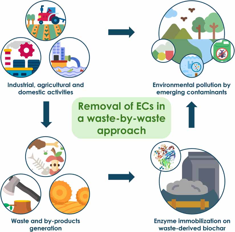 Biochar production from waste biomass applied in enzyme immobilization ...