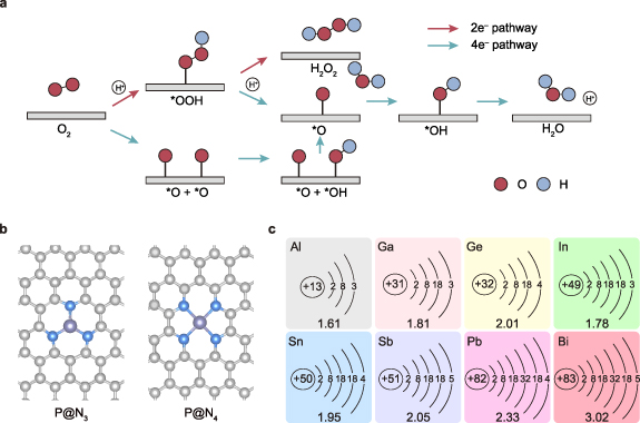 Figure 1. Refer to the following caption and surrounding text.
