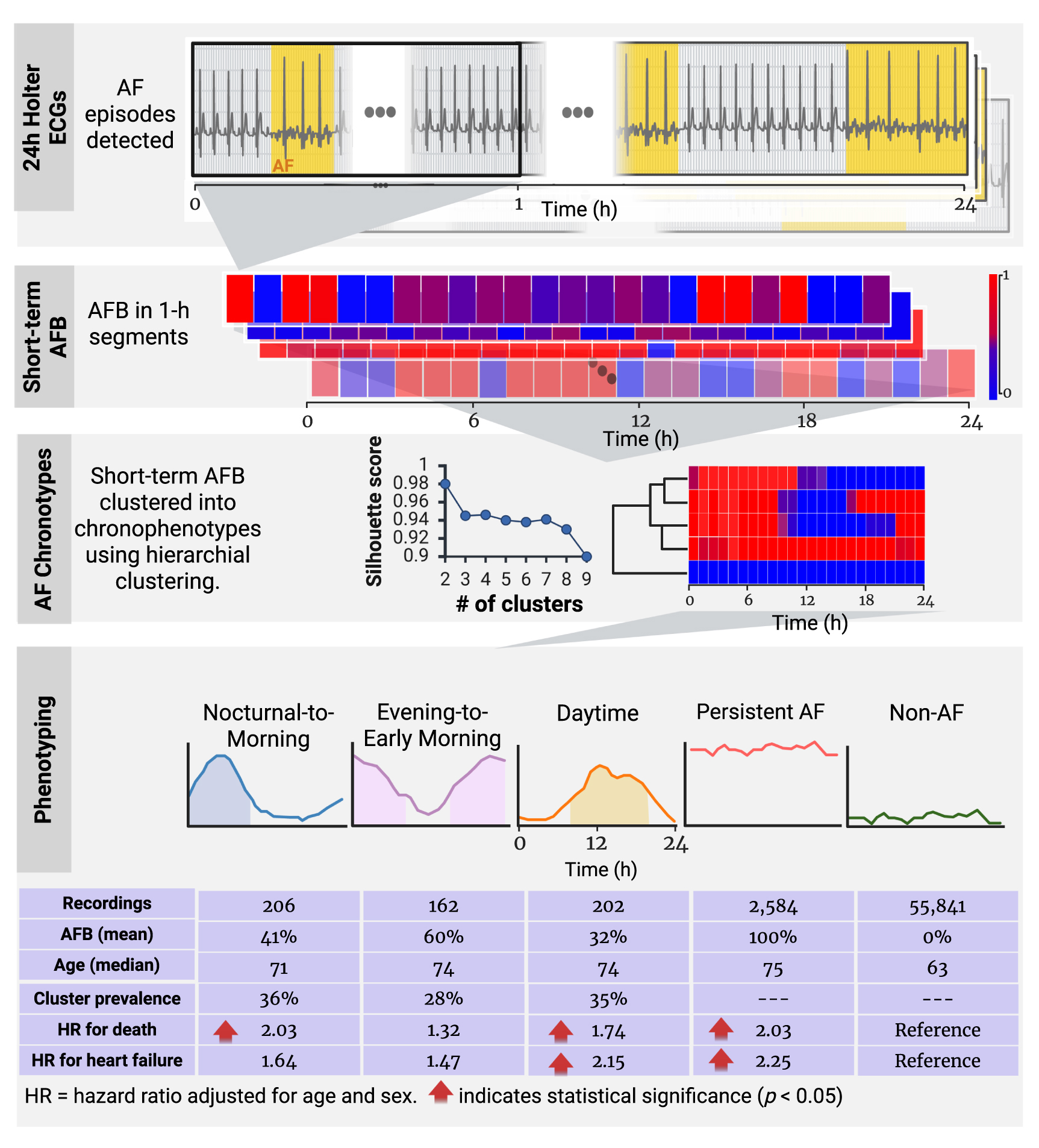 Temporal phenotyping of paroxysmal atrial fibrillation reveals ...