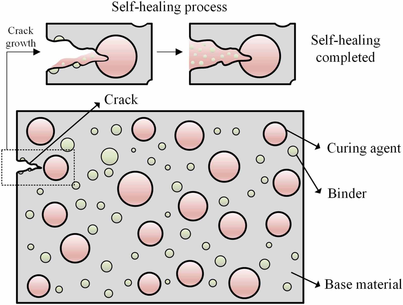 Reliability modeling for multi-component system considering self ...