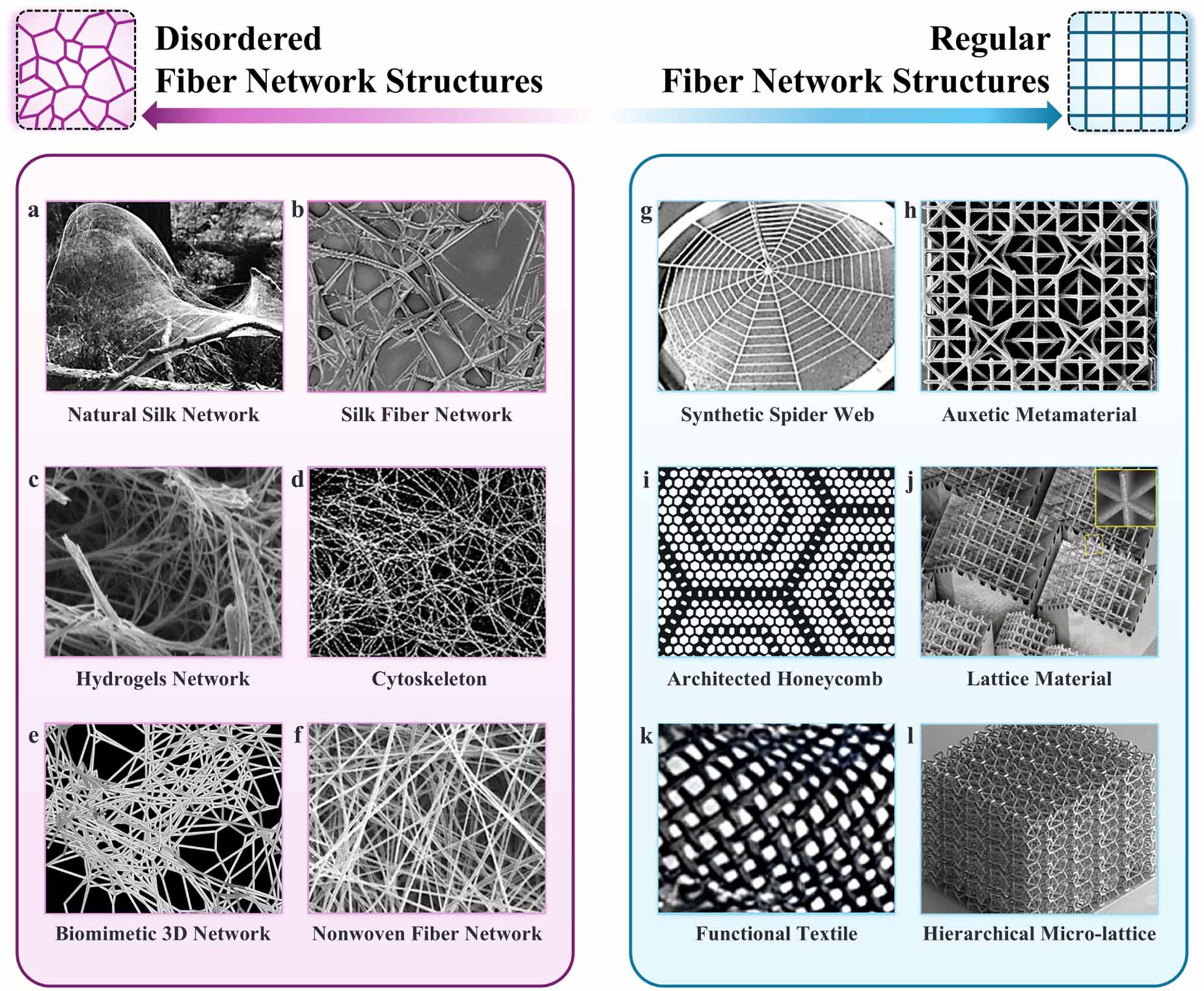 Network Tissue Artificial intelligence for fibrous network design and mechanics ...