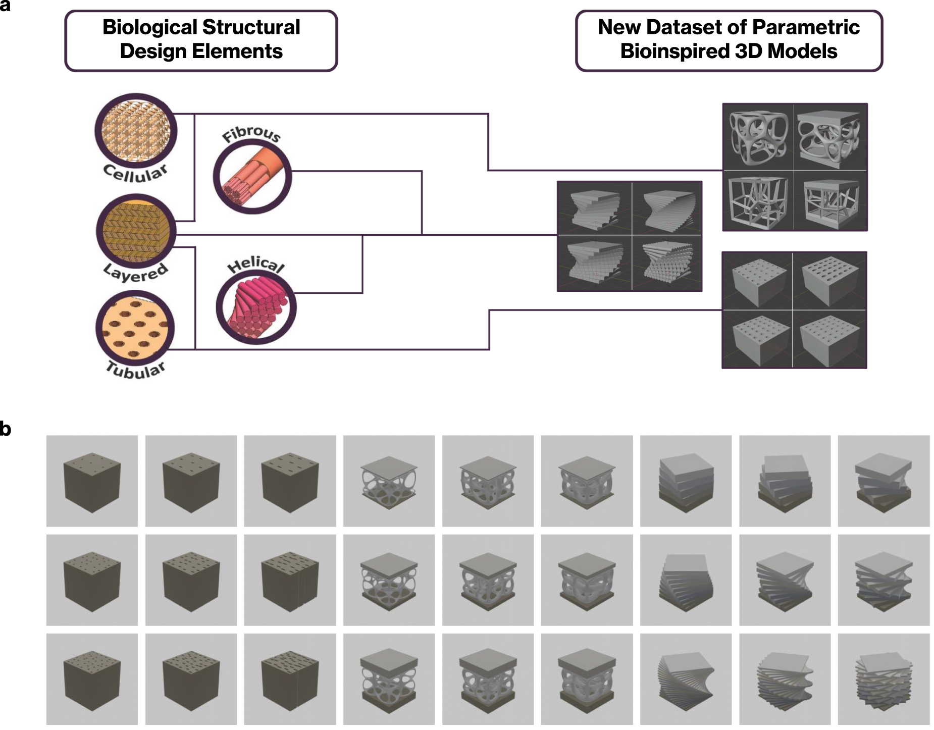 Bio Structures Design Software Bioinspired123D: generative 3D modeling system for bioinspired ...